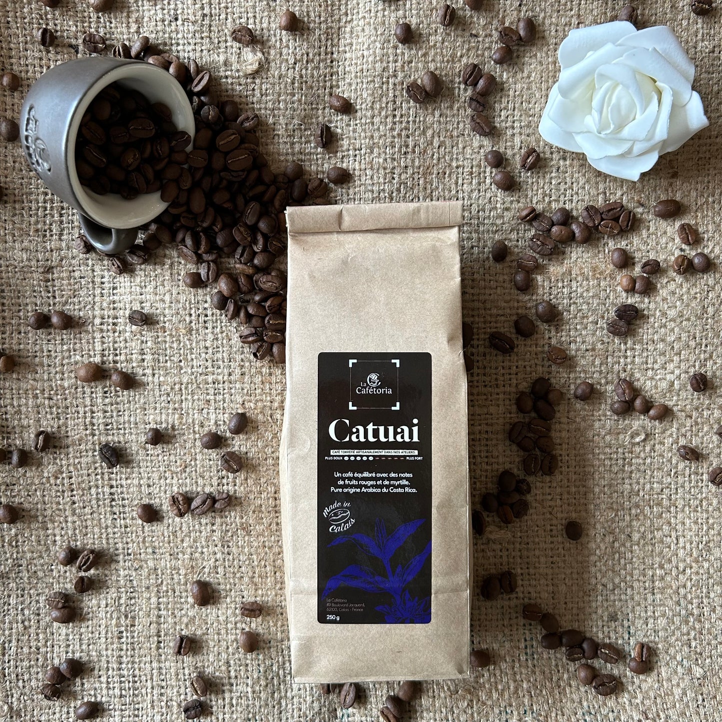 CATUAI - Arabica du Costa Rica