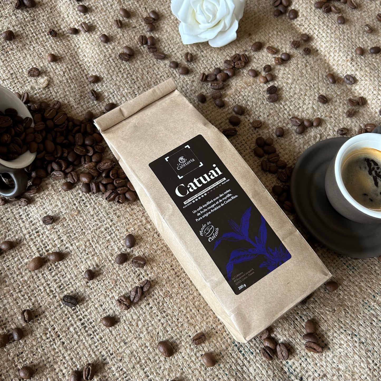 CATUAI - Arabica du Costa Rica