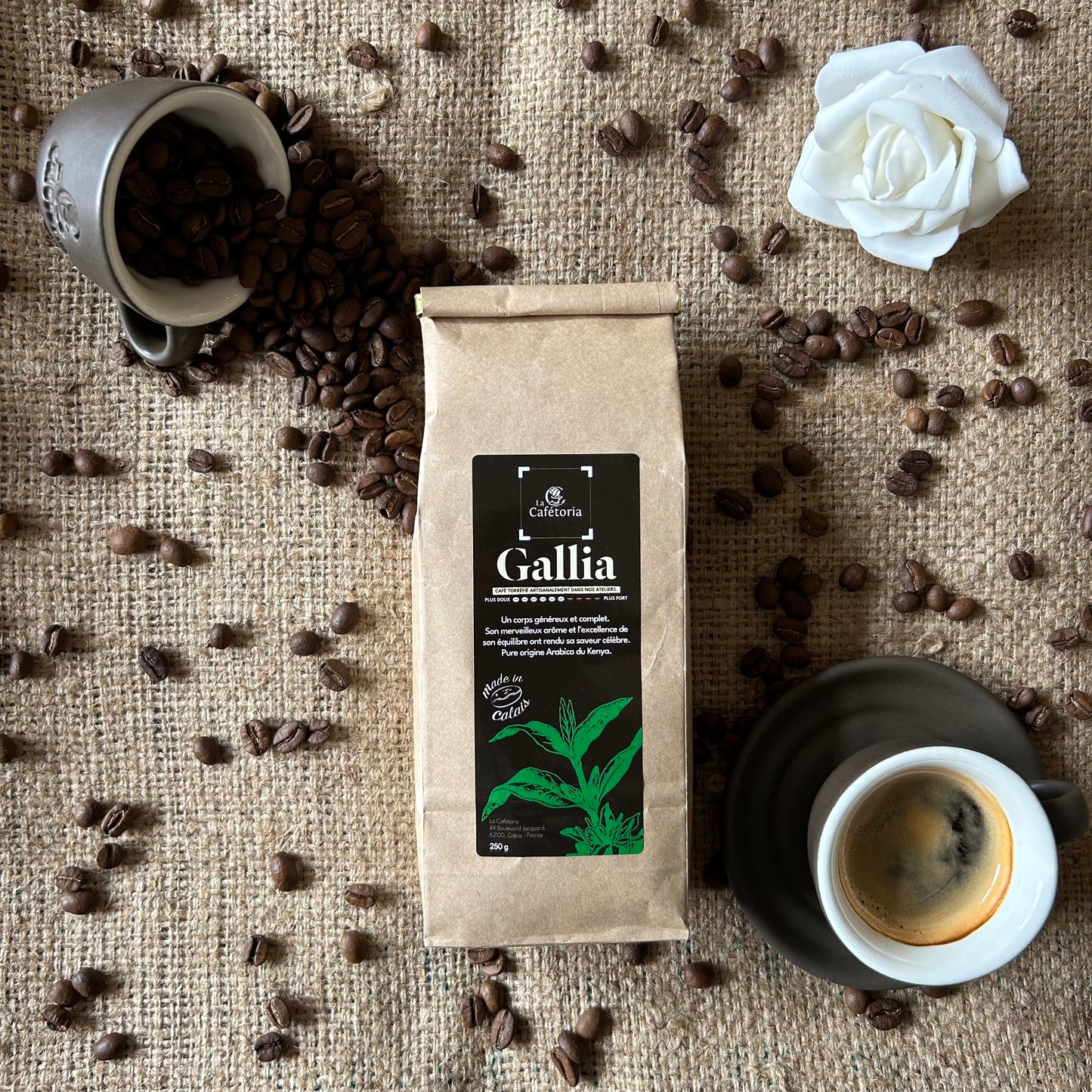 GALLIA - Arabica du Kenya