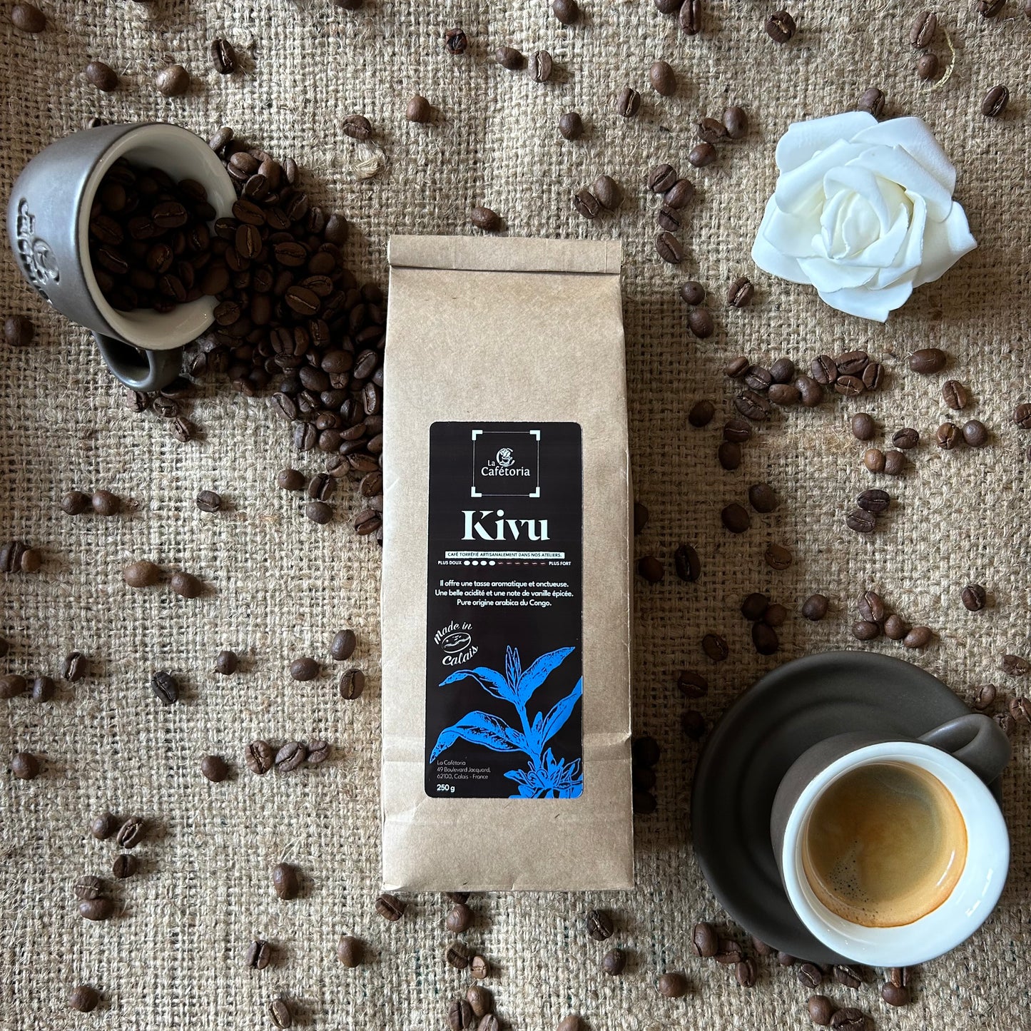 KIVU - Arabica du Congo