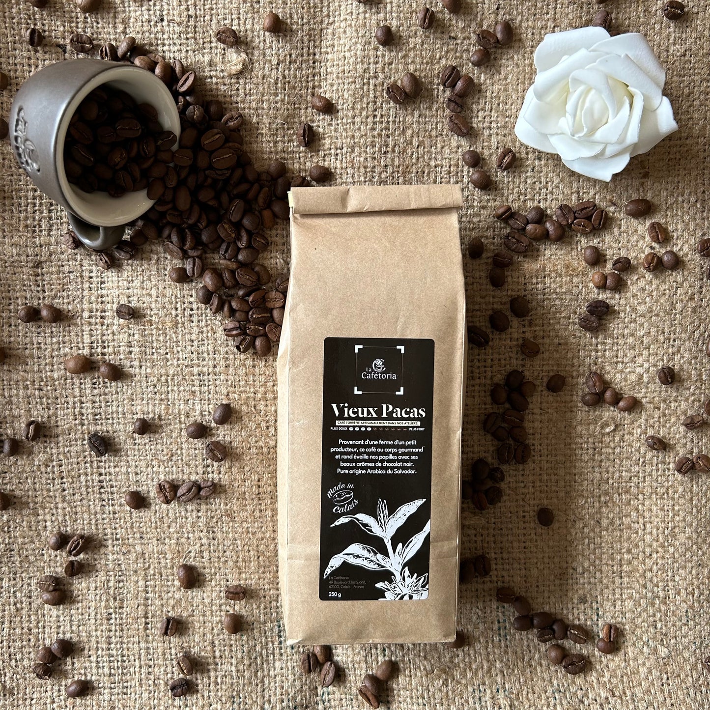 VIEUX PACAS - Arabica du Salvador