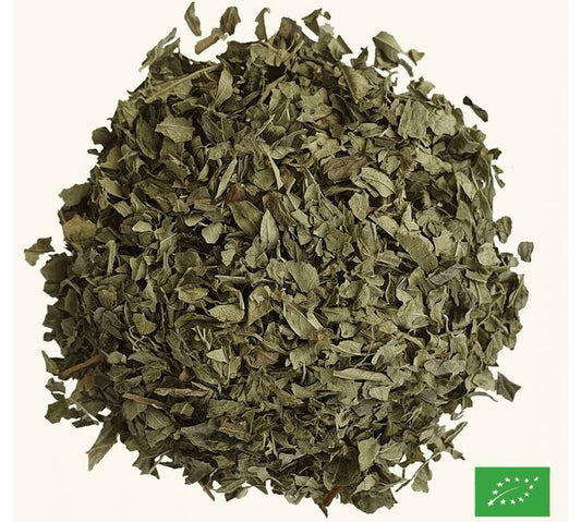 Infusion Menthe Poivrée - George Cannon