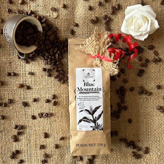 BLUE MOUNTAIN - Arabica de Jamaïque