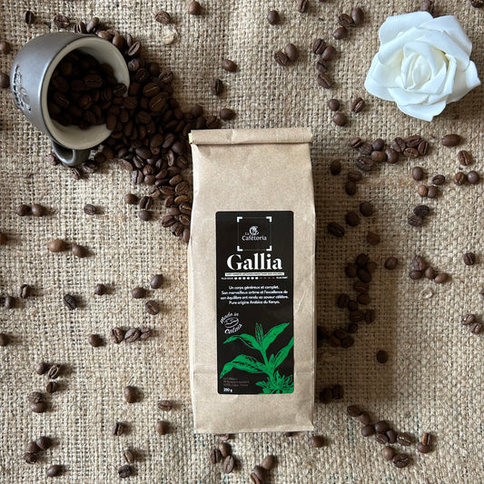 GALLIA - Arabica du Kenya