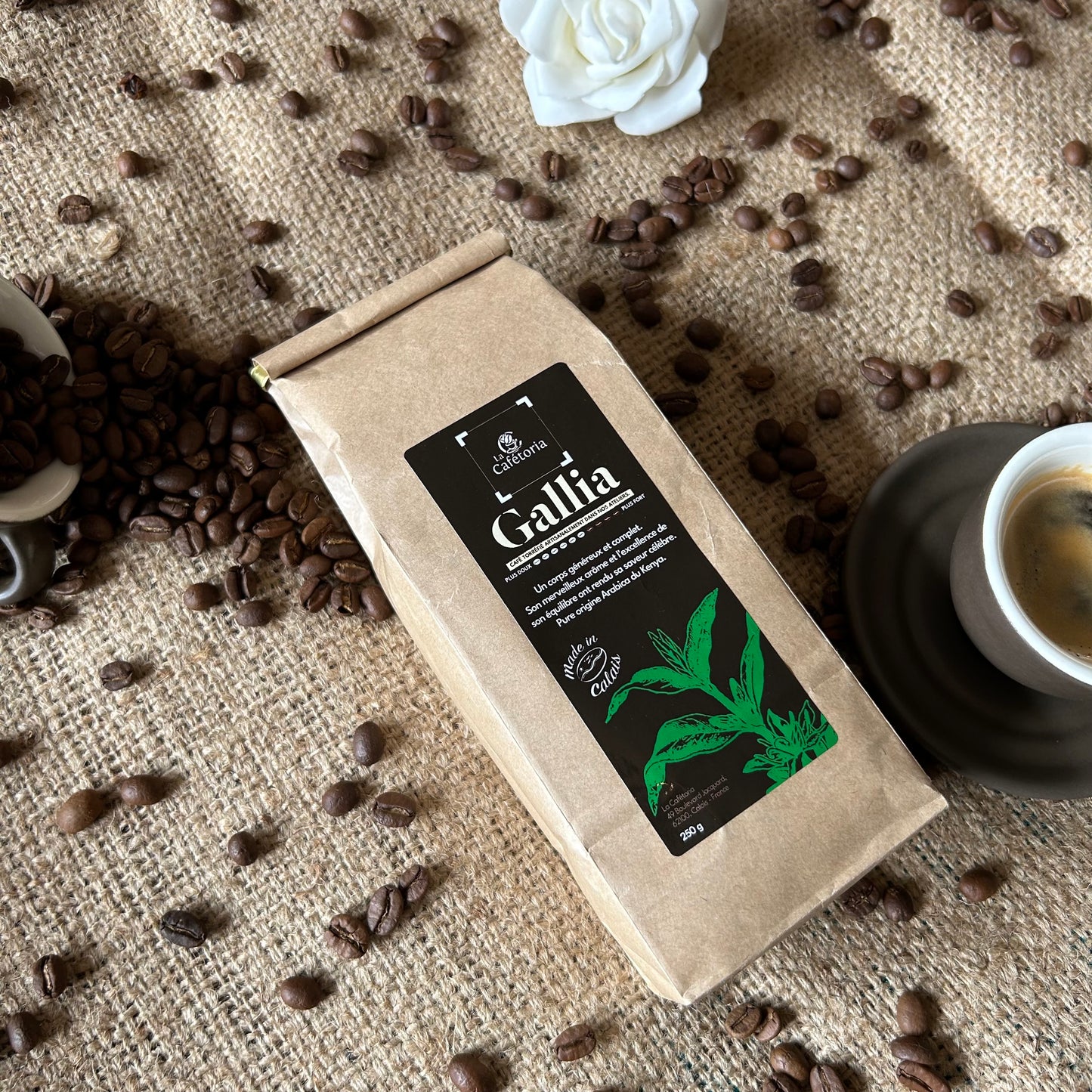 GALLIA - Arabica du Kenya