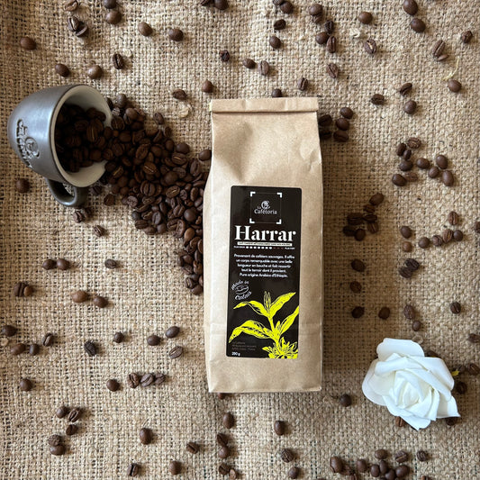 HARRAR - Arabica d'Éthiopie