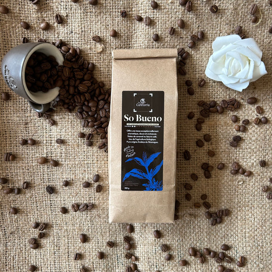 SO BUENO - Arabica du Nicaragua