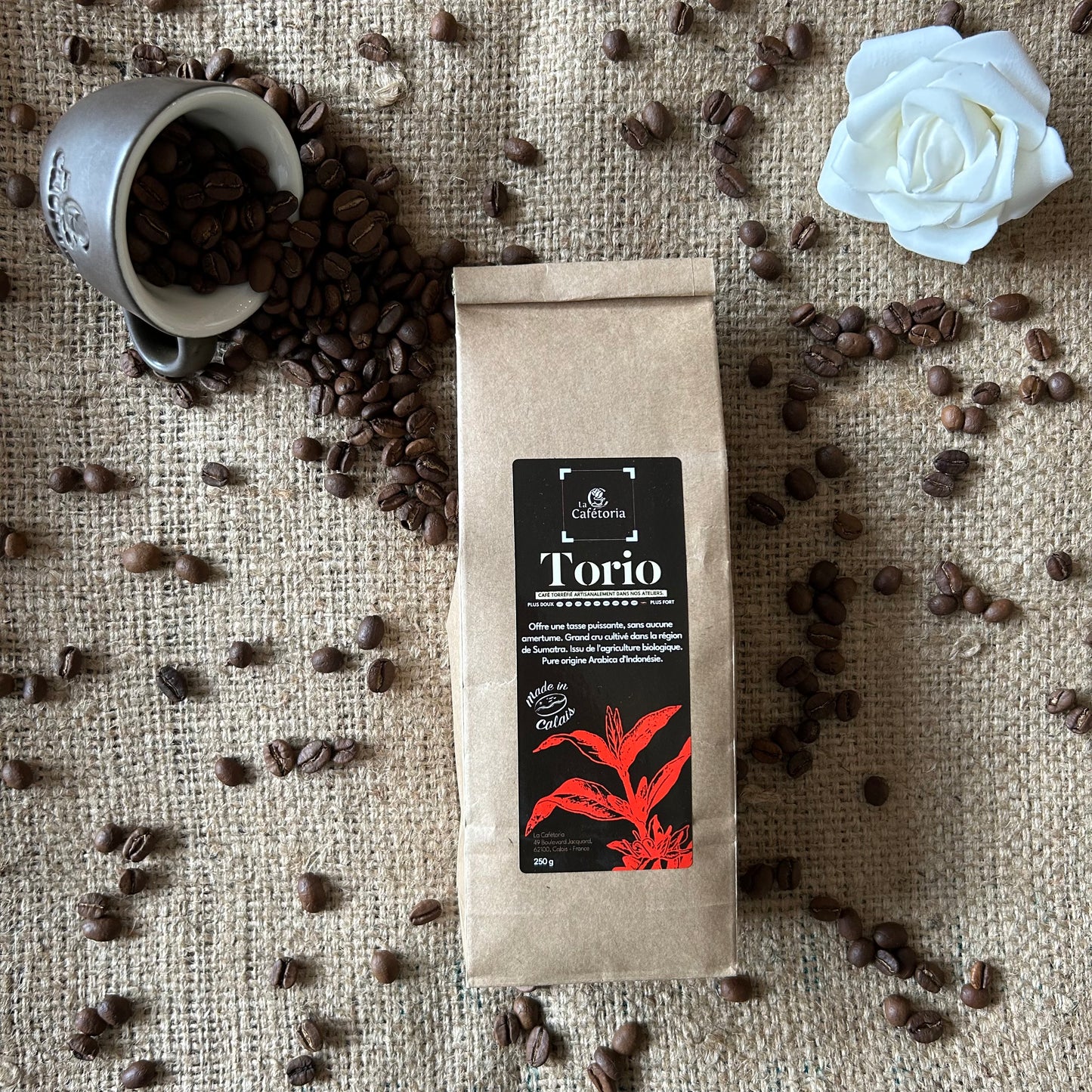 TORIO - Arabica d'Indonésie