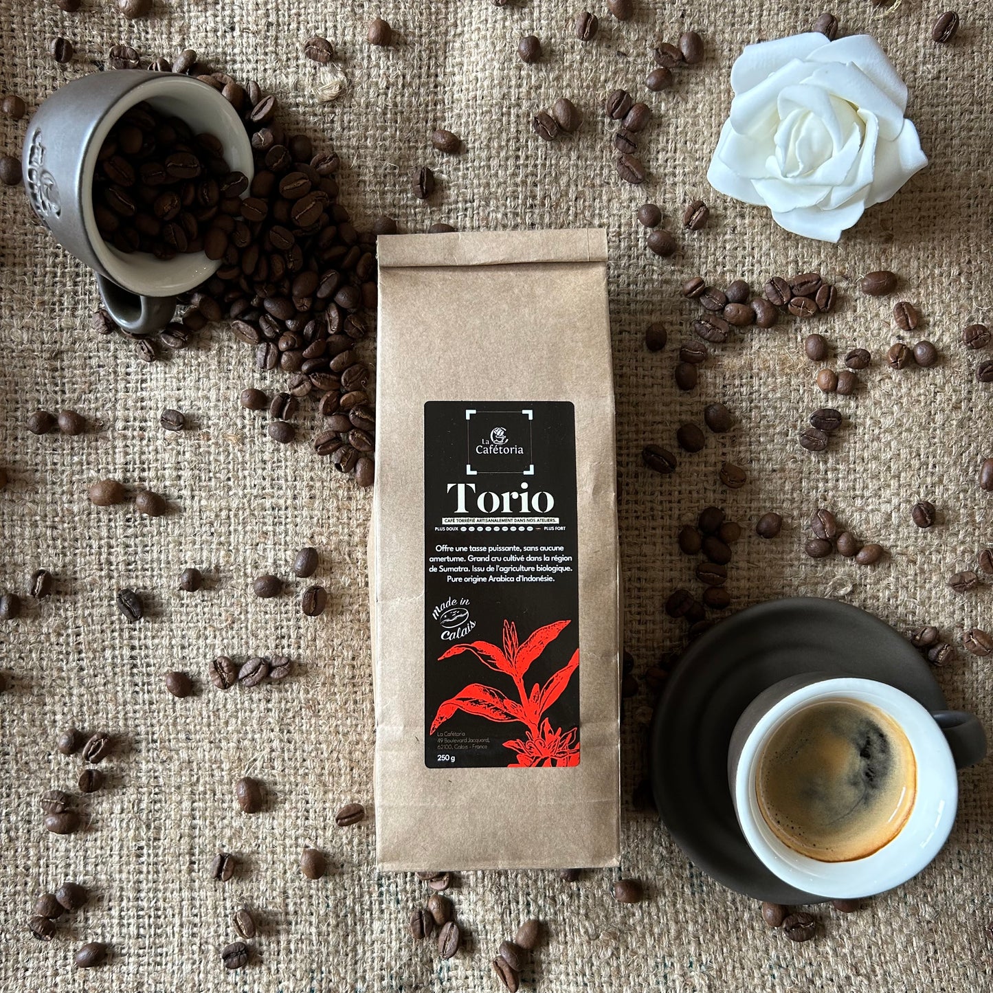 TORIO - Arabica d'Indonésie