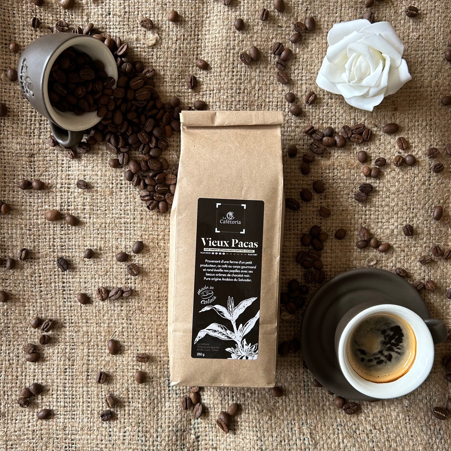 VIEUX PACAS - Arabica du Salvador